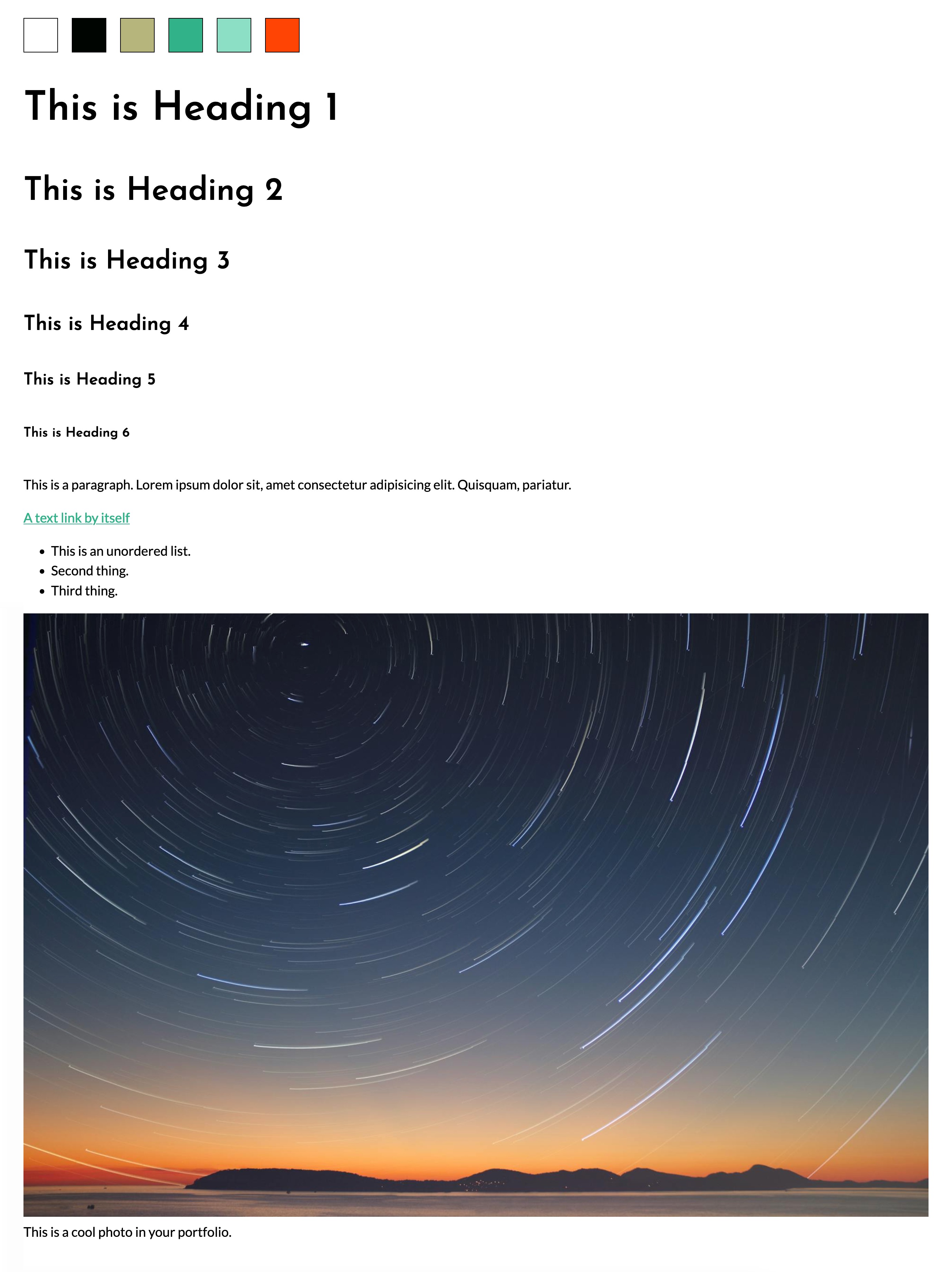 The styleguide with styling attached, including colors, fonts, font size, and image sizing.